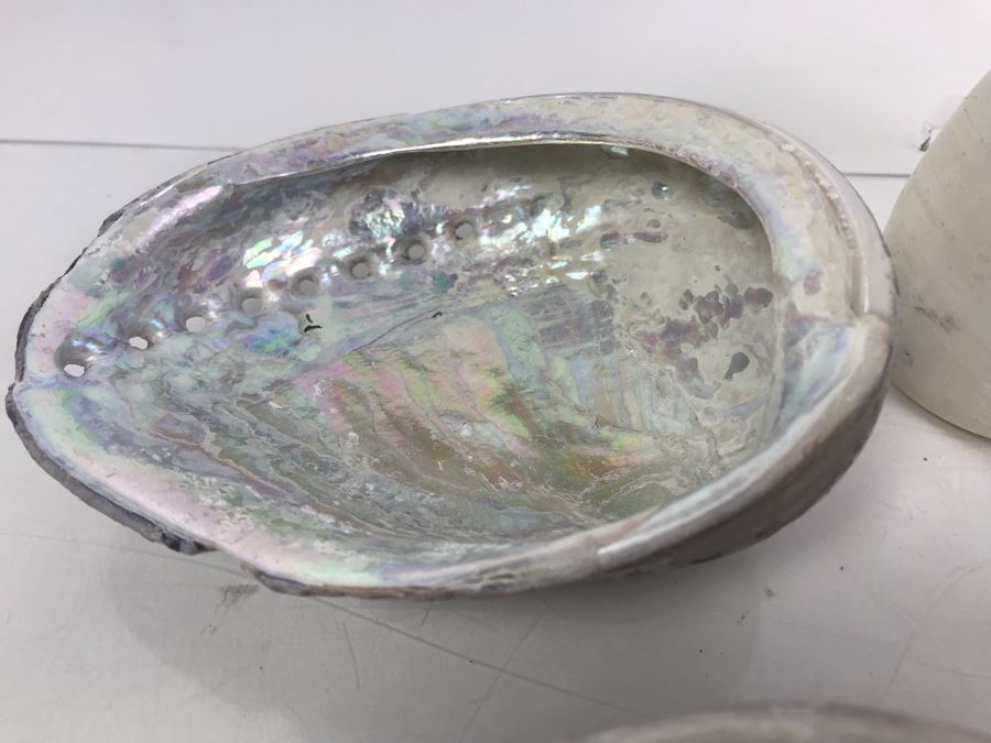 Vintage Abalone Shells And Nautilus Shell [Photo 5]