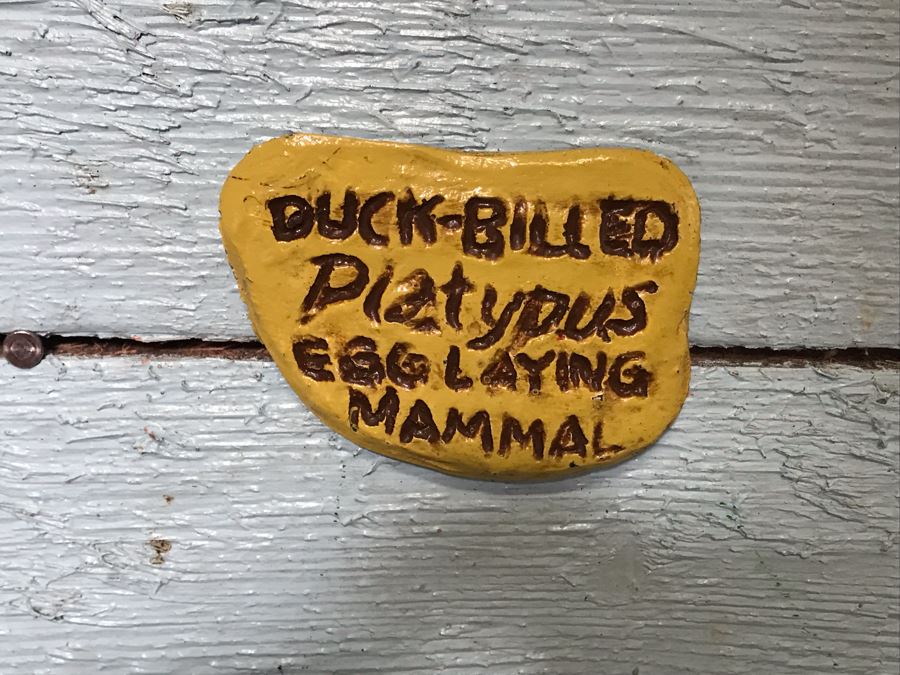 Wooden Wall Plaque With Embossed Plastic Duck-Billed Platypus From Outback Steakhouse 30' X 17' [Photo 3]