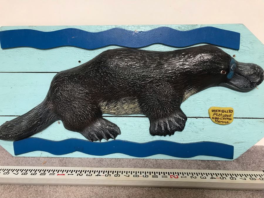 Wooden Wall Plaque With Embossed Plastic Duck-Billed Platypus From Outback Steakhouse 30' X 17' [Photo 5]