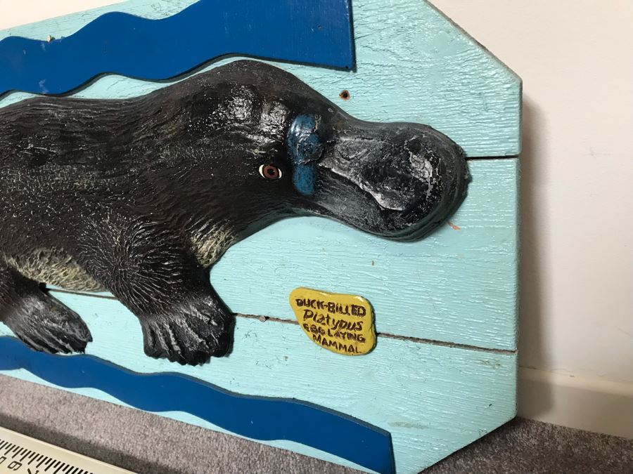 Wooden Wall Plaque With Embossed Plastic Duck-Billed Platypus From Outback Steakhouse 30' X 17' [Photo 6]