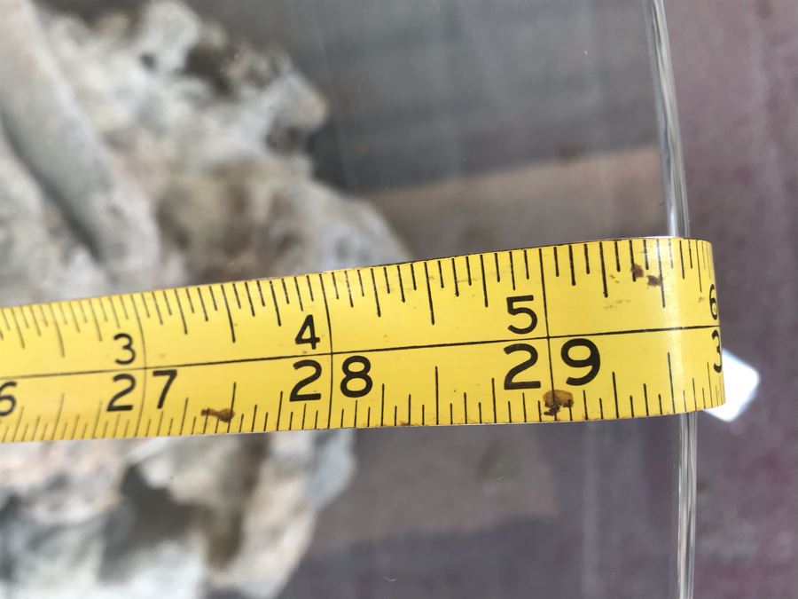 Mid Century Driftwood Side Table With Glass Top [Photo 5]