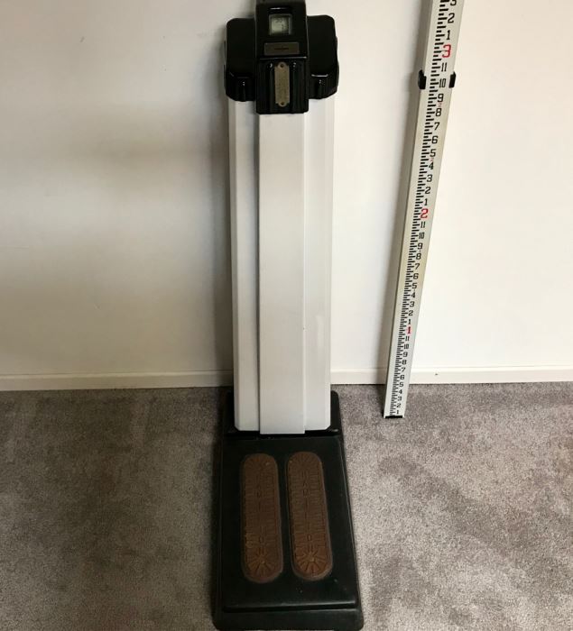 Art Deco Coin-Op Mechanical Scale By The Hamilton Scale Co Person Weigher Model P-W 41'H [Photo 4]