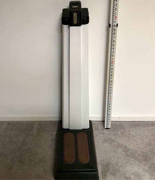 Art Deco Coin-Op Mechanical Scale By The Hamilton Scale Co Person Weigher Model P-W 41'H [Photo 3]