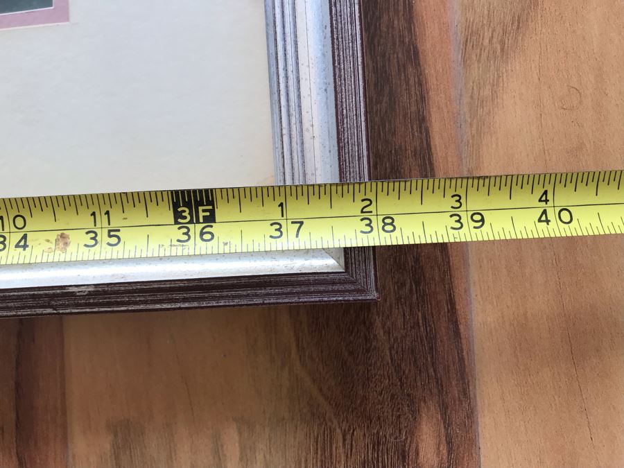 Nicely Framed Asian Print 38' X 28' [Photo 10]