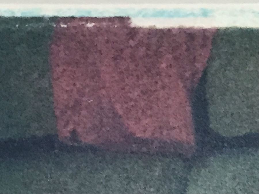 Eric Blau Photographic Print Of Interior With Calla Lily And Red Shirt Limited To Edition Of Only 1 Frame Measures 10' X 8' - Client Paid $1,000 [Photo 7]