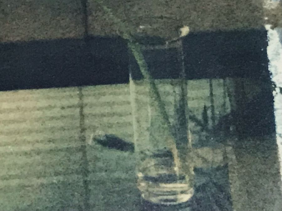 Eric Blau Photographic Print Of Interior With Calla Lily And Red Shirt Limited To Edition Of Only 1 Frame Measures 10' X 8' - Client Paid $1,000 [Photo 8]