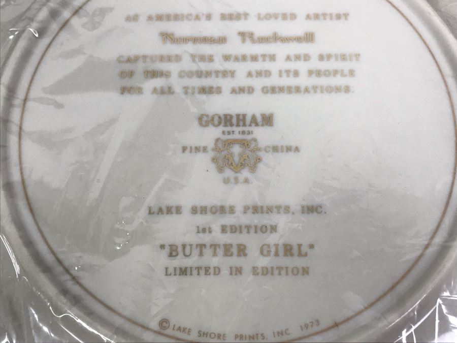 Collection Of (5) Norman Rockwell Trays, (3) Collectible Plates And (1) Norman Rockwell Illustrator Book [Photo 20]