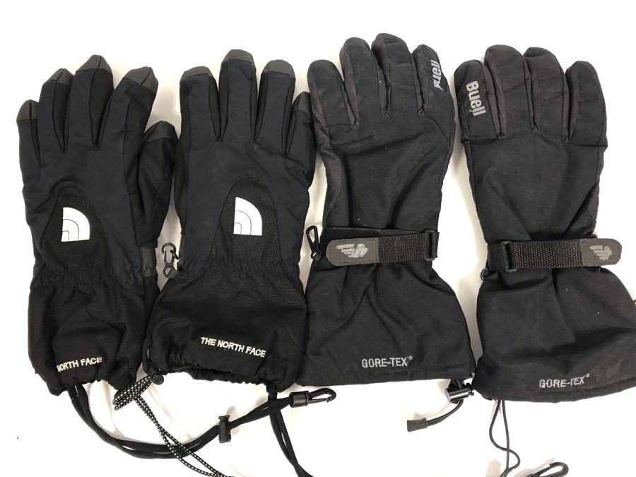 Buell (Size M) And North Face (Size L) Gore-Tex Gloves [Photo 1]
