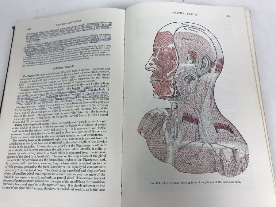 Vintage 1956 Gray's Anatomy 26th Edition Textbook Medical Book [Photo 1]
