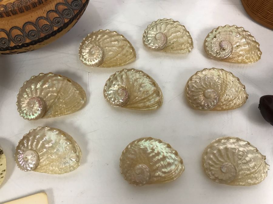 (3) Wooden Boxes, (1) Woven Box, Carved Wooden Turtle, Seashells And Large Fish Scale From Russia [Photo 7]