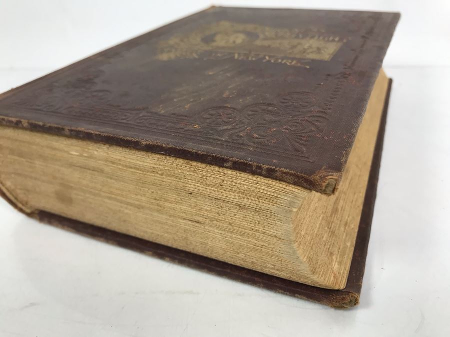 Antique 1895 Book Darkness And Daylight; Lights And Shadows Of New York Life A Pictorial Record Of Personal Experiences By Day And Night In The Great Metropolis Superbly Illustrated [Photo 20]