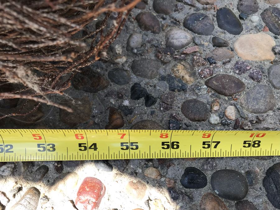 Stick Twig Broom 55'L [Photo 8]