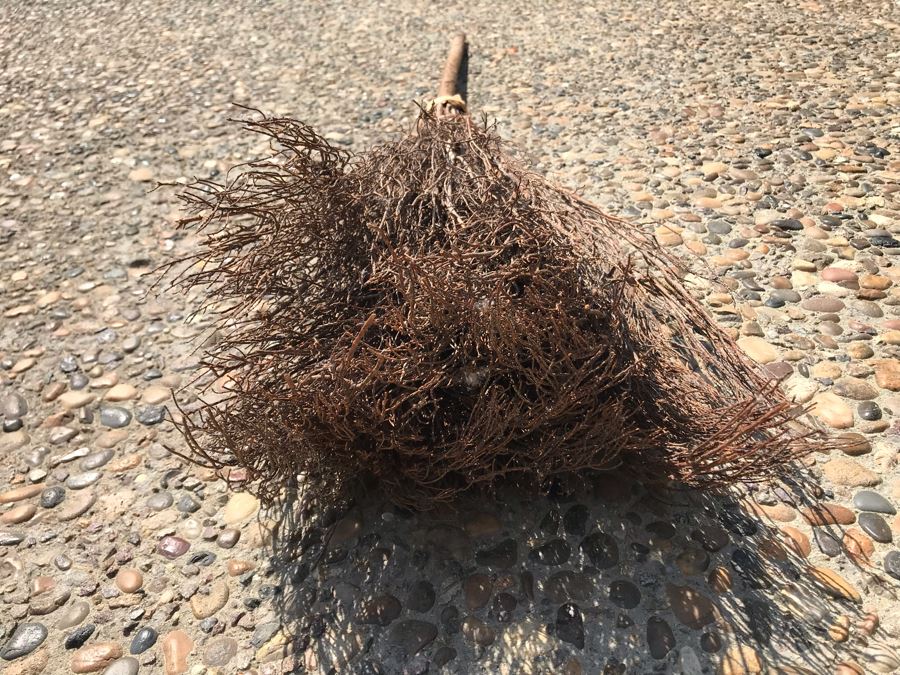 Stick Twig Broom 55'L [Photo 6]