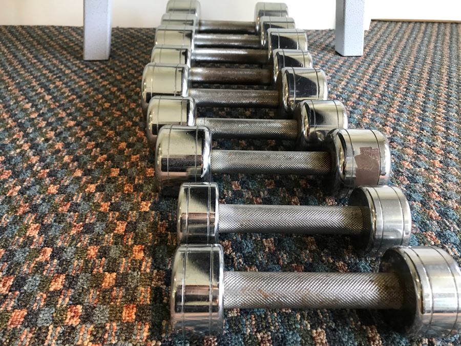 Hoist Adjustable Bench Press And Set Of (9) Weight Lifting Dumbbells