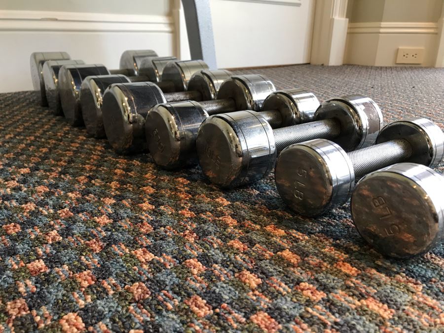 Hoist Adjustable Bench Press And Set Of (9) Weight Lifting Dumbbells