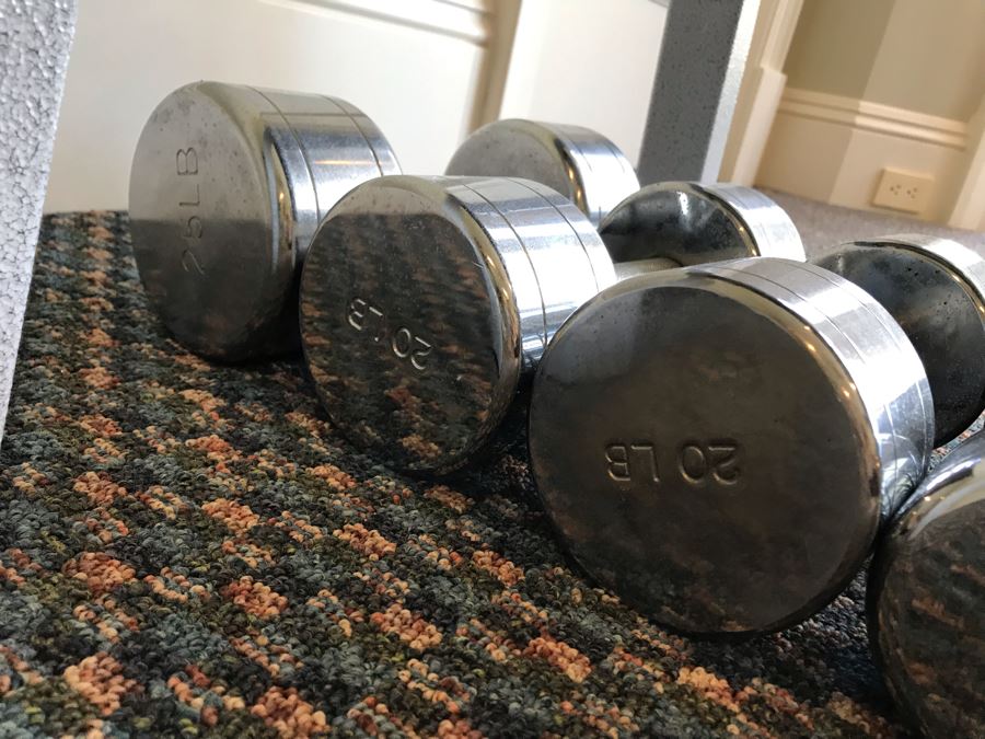 Hoist Adjustable Bench Press And Set Of (9) Weight Lifting Dumbbells