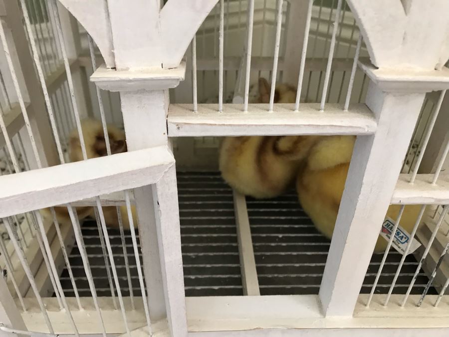 White Victorian Style Birdcage With Plush Chicks 17'W X 12'D X 30'H [Photo 4]