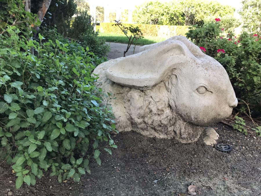 Large Garden Statuary Sculpture Of Bunny Rabbit 36'L [Photo 5]