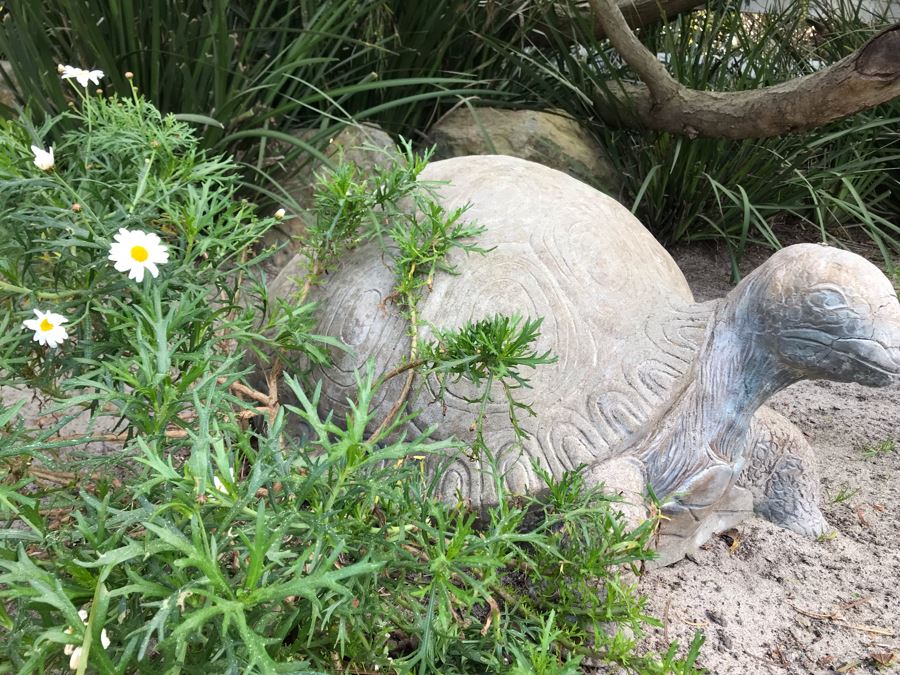Large Heavy Garden Statuary Tortoise Turtle Statue - Note One Foot Damaged (See Photos) 33'L [Photo 5]