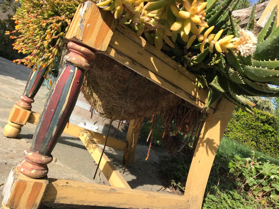 Vintage Shabby Chic Chair Planter With Succulents [Photo 7]