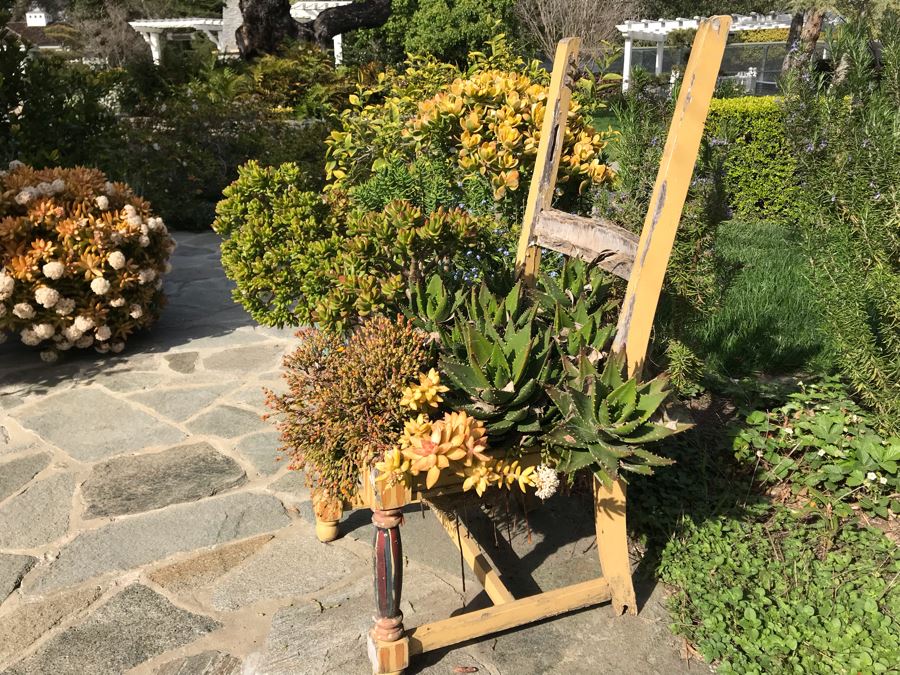 Vintage Shabby Chic Chair Planter With Succulents [Photo 5]