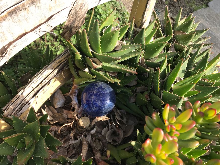 Vintage Shabby Chic Chair Planter With Succulents [Photo 4]