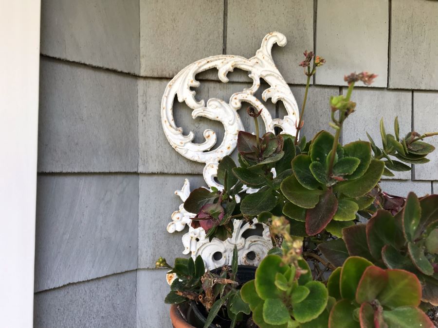 Set Of Painted White Metal Wall Decorations Plant Pot Holders - One With Potted Plant [Photo 10]