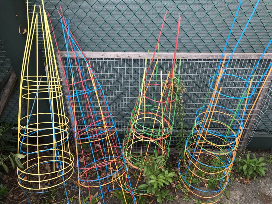 Collection Of Colored Tomato And Plant Support Cages Trellis [Photo 4]
