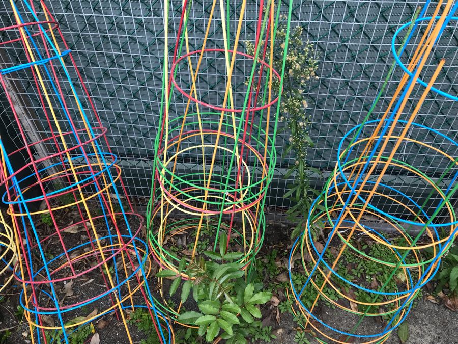 Collection Of Colored Tomato And Plant Support Cages Trellis [Photo 5]