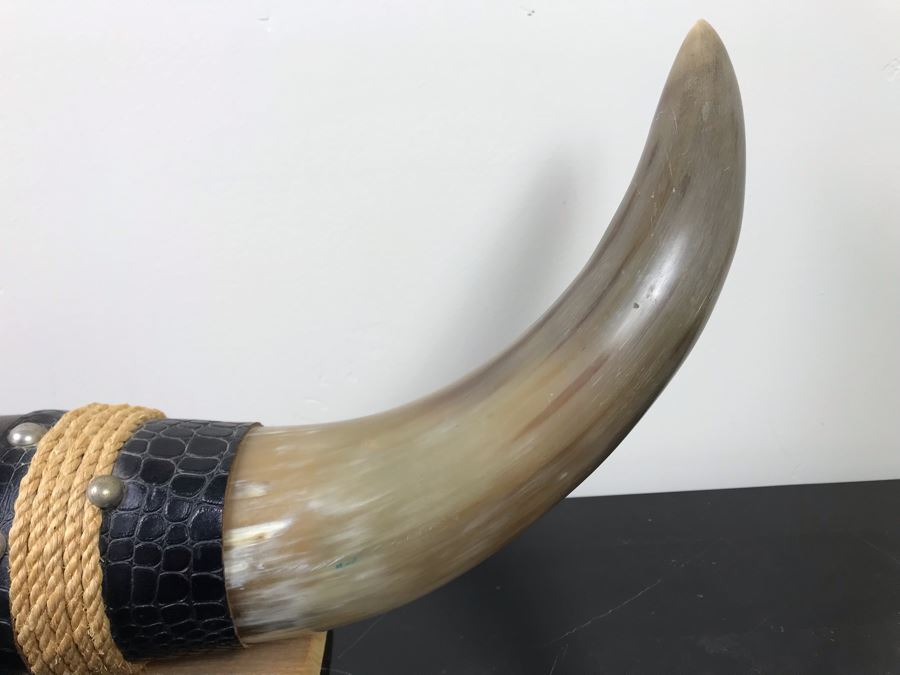 Large Mounted Bulls Horns 26”W (Client Owned Cattle Ranch) And Decorative Miniature Sombrero Hat [Photo 5]