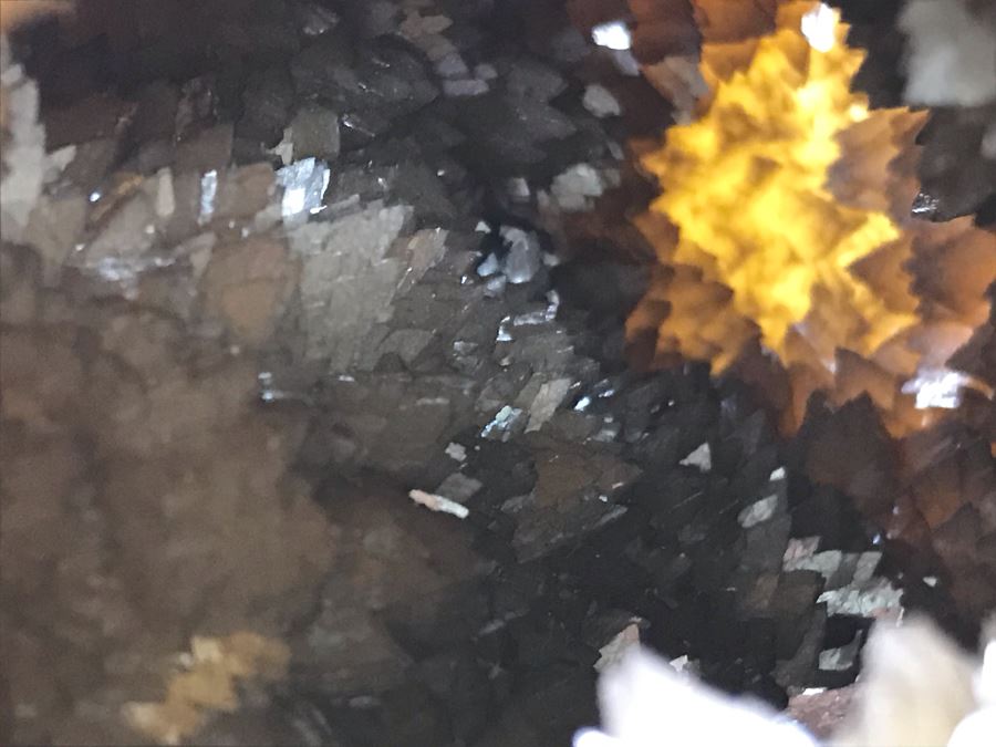 Polished Septarian Nodule Displaying Brown Aragonite Yellow Calcite Crystals Spherical Geode With Brass Display Stone [Photo 9]