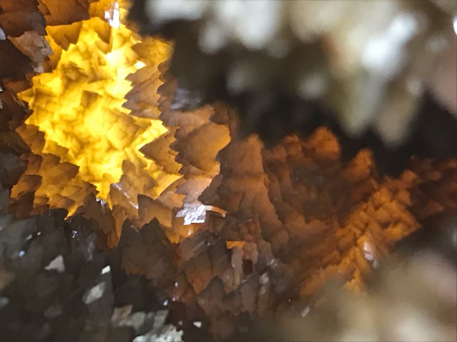 Polished Septarian Nodule Displaying Brown Aragonite Yellow Calcite Crystals Spherical Geode With Brass Display Stone [Photo 3]