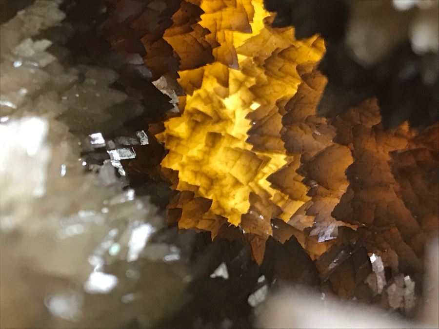 Polished Septarian Nodule Displaying Brown Aragonite Yellow Calcite Crystals Spherical Geode With Brass Display Stone [Photo 10]