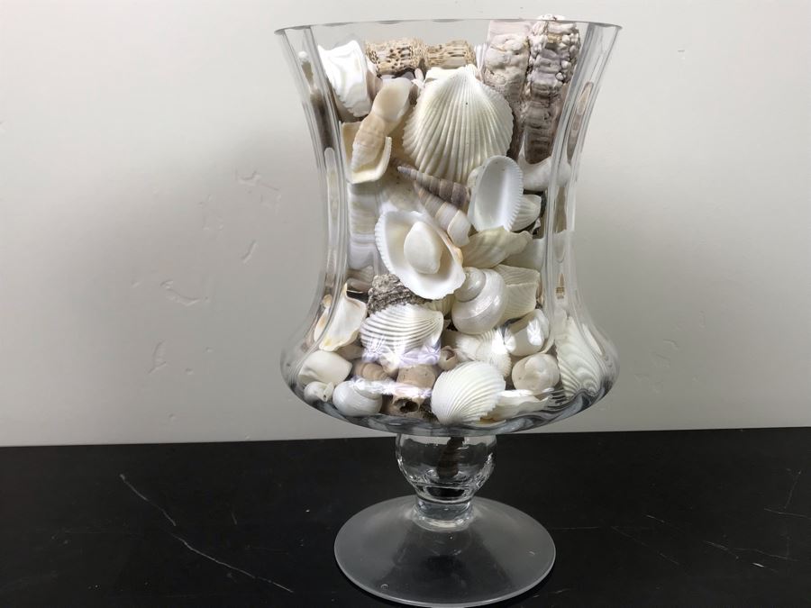 Large Footed Vase Filled With Seashells 10.5'H