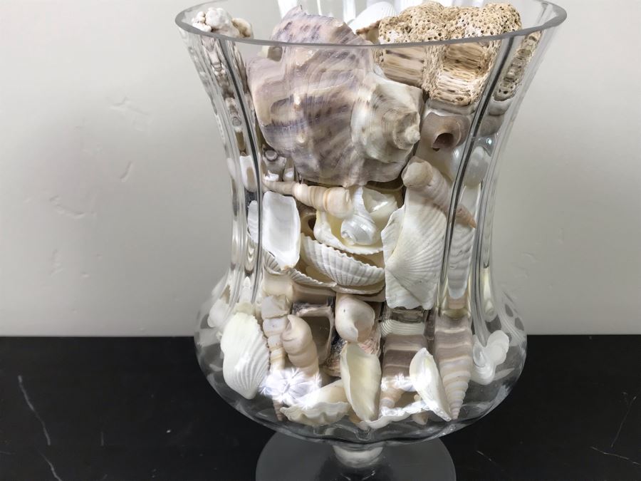 Large Footed Vase Filled With Seashells 10.5'H [Photo 8]