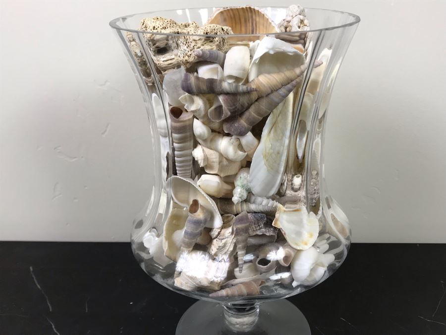 Large Footed Vase Filled With Seashells 10.5'H [Photo 6]