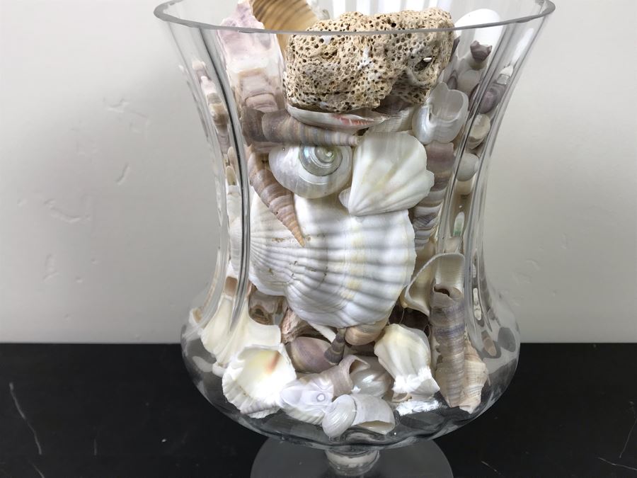Large Footed Vase Filled With Seashells 10.5'H [Photo 7]