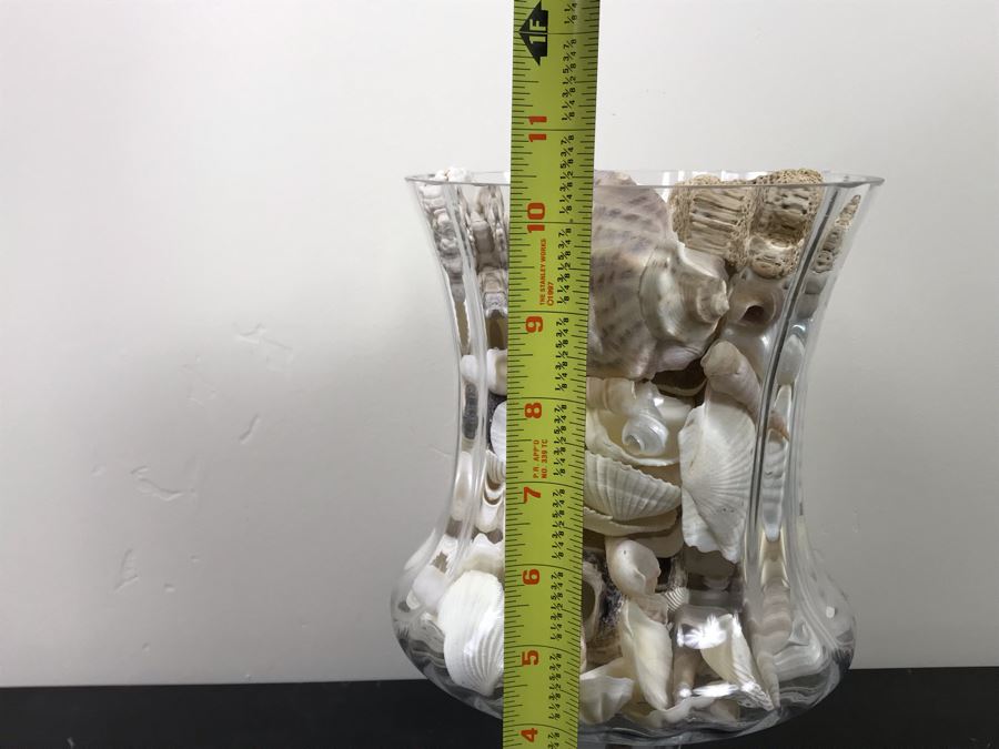 Large Footed Vase Filled With Seashells 10.5'H [Photo 9]