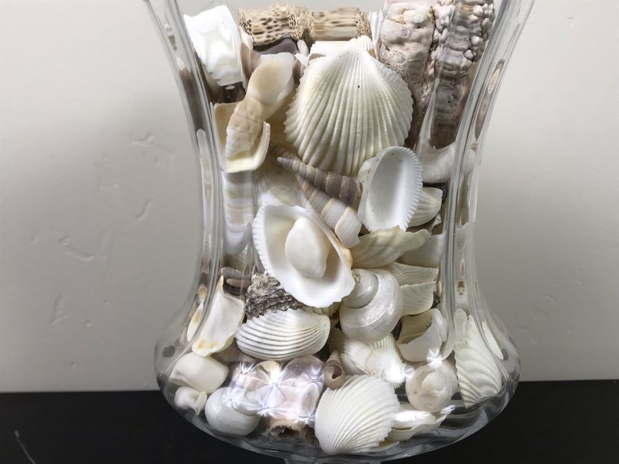 Large Footed Vase Filled With Seashells 10.5'H [Photo 2]