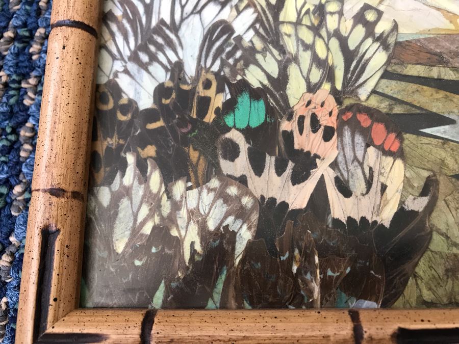 Original Asian Butterfly Wing Collage In Bamboo Style Wooden Frame 14.5'W X 12'H [Photo 5]