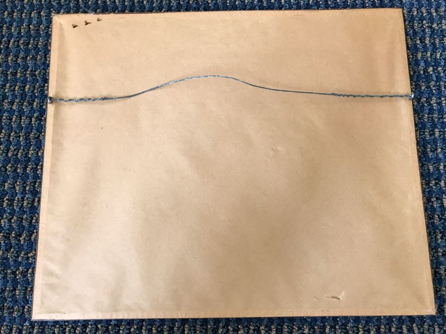 Original Asian Butterfly Wing Collage In Bamboo Style Wooden Frame 14.5'W X 12'H [Photo 9]