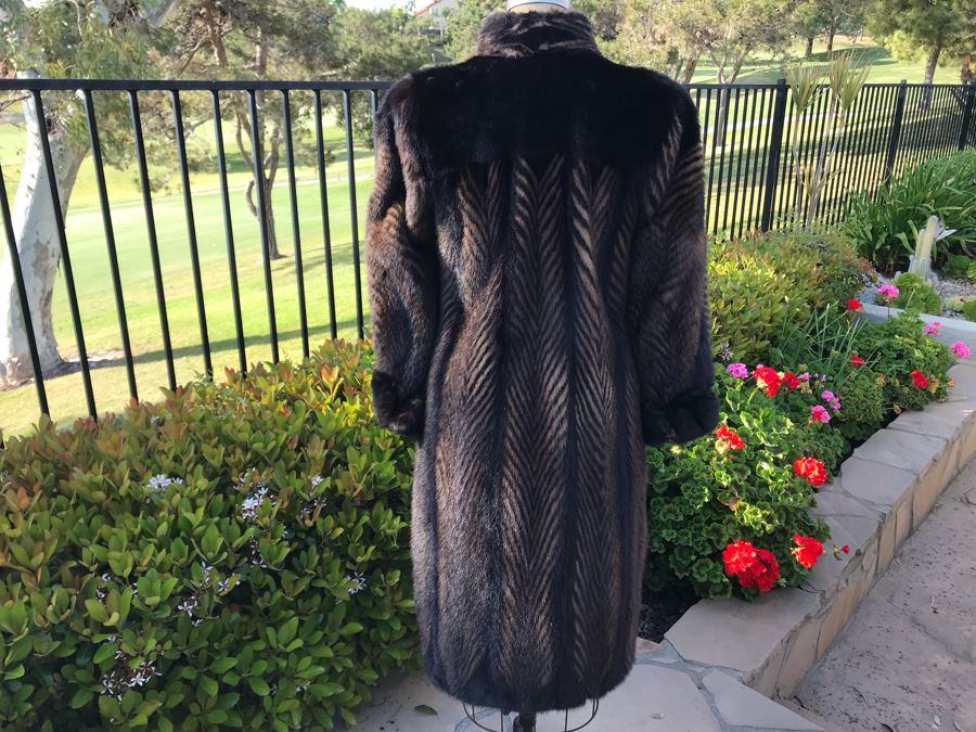 Stunning Benzing Furs Full Length Mink Coat From Calgary Canada Alberta's Premium Furrier Size Small [Photo 14]