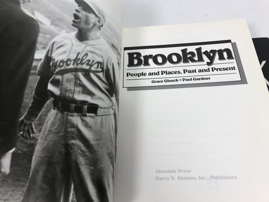 JUST ADDED - Collection Of New York City Coffee Table Books [Photo 15]