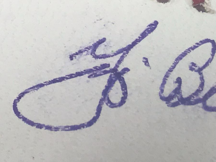 Yogi Berra New York Yankees Signed Rawlings Baseball With Acrylic Display Box [Photo 10]