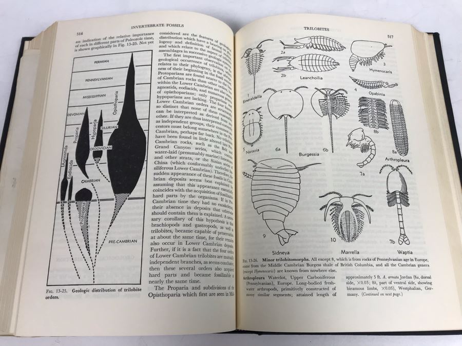 1st Edition 1952 Invertebrate Fossils Hardcover Book With Illustrations