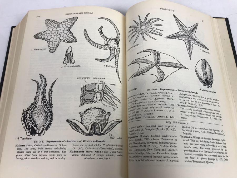1st Edition 1952 Invertebrate Fossils Hardcover Book With Illustrations McGraw-Hill Book Company 51-12632 [Photo 1]