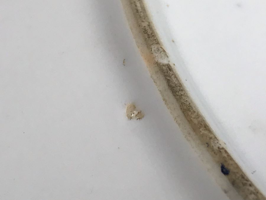 Old Chinese Hand Painted Porcelain Plate 13'R [Photo 16]