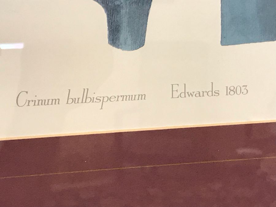 Pair Of Framed Floral Prints [Photo 3]