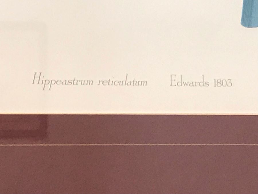 Pair Of Framed Floral Prints [Photo 5]