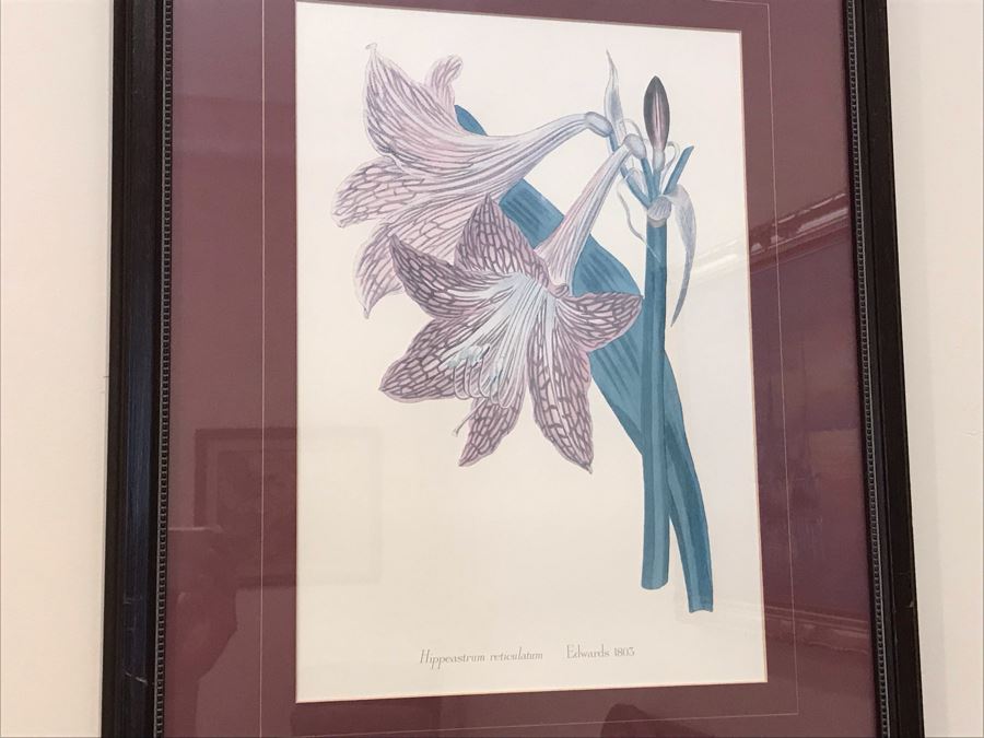 Pair Of Framed Floral Prints [Photo 4]